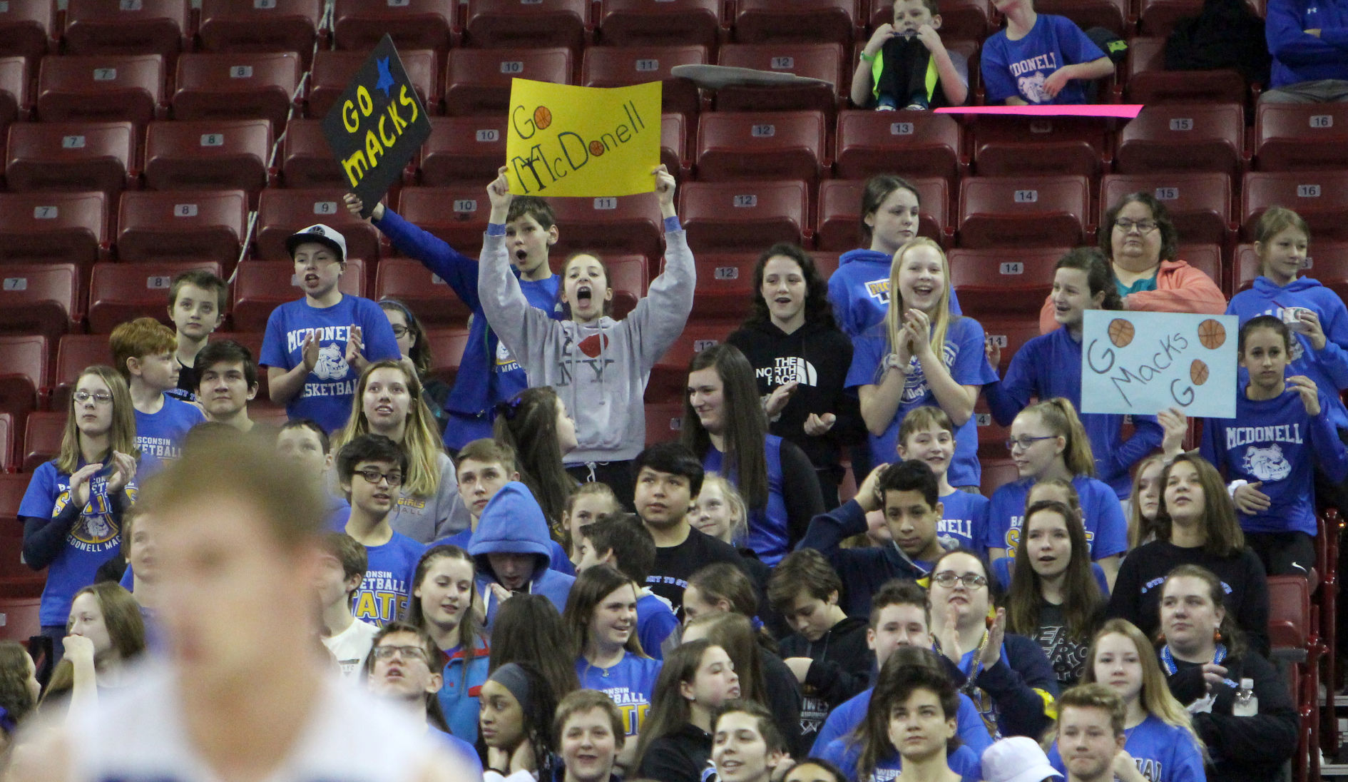 McDonell boys basketball vs Sheboygan Area Lutheran 3-15-19